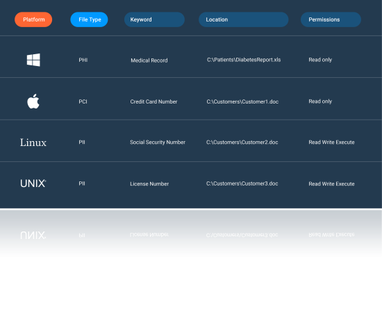 data discovery software
