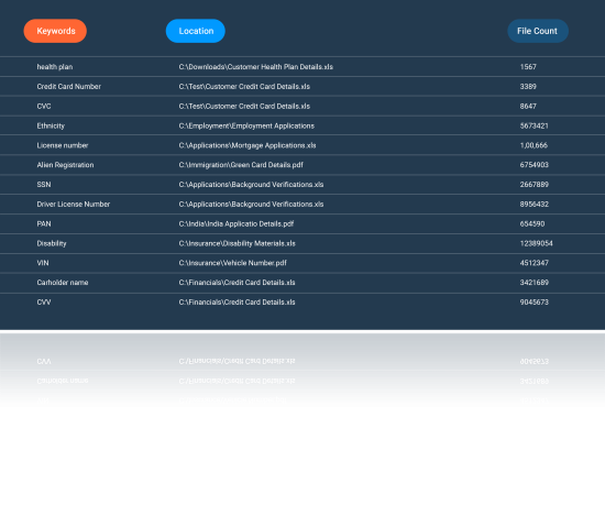data discovery software